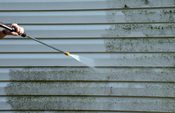 Best Roof Cleaning and Mildew Removal in American Falls, ID